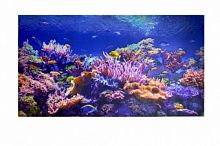 Фартук-пано Коралловый риф 602х1002 мм